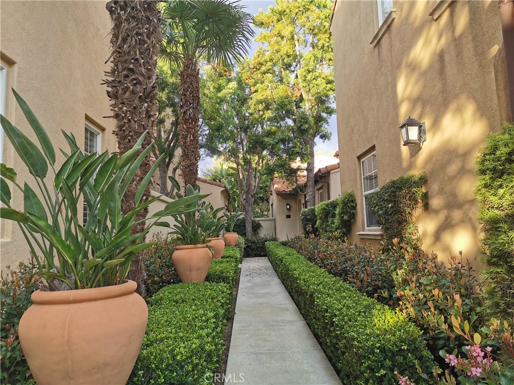 41 Modesto Irvine, CA 92602 - Photo 2 of 20 a view of a garden with plants