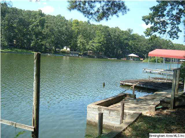 424 Coosa Island Road Cropwell, AL 35054 - Photo 2 of 22