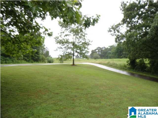 77 Grace Drive Oneonta, AL 35121 - Photo 20 of 21
