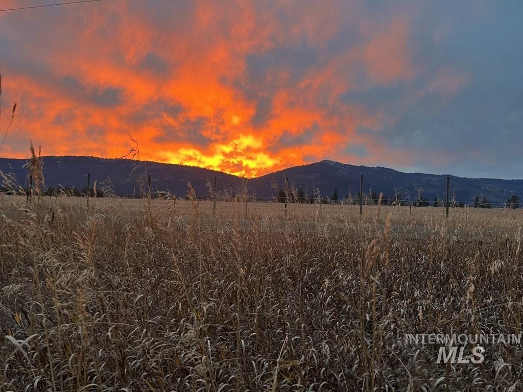 13388 Norwood Road McCall, ID 83638 - Photo 44 of 44 Expansive natural landscape featuring a mountain range backdrop and a field of tall, dry grasses