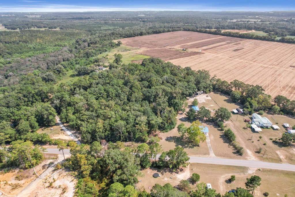4032 Kinsey Road Dothan, AL 36303 - Photo 40 of 46
