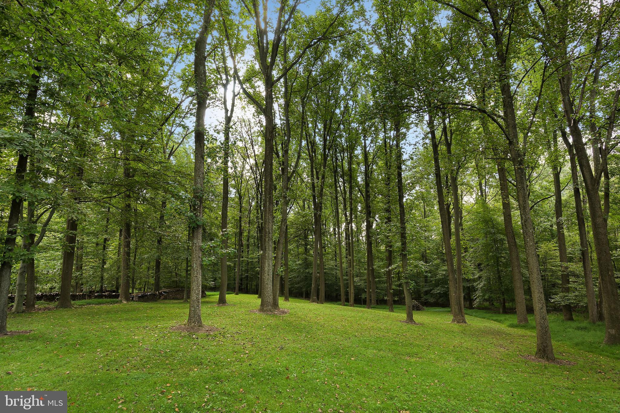 18601 Brooke Road Sandy Spring, MD 20860 - Photo 34 of 35 Gallery Image 34