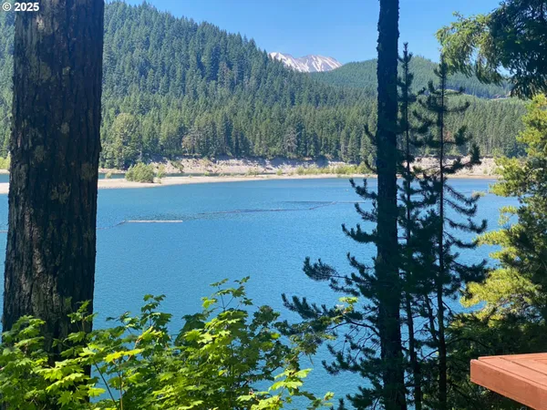 a view of a lake in middle of forest
