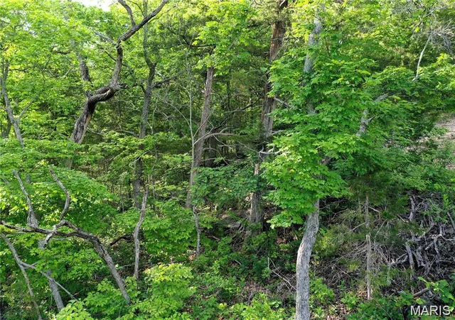 $26,000 | 7664 Vista Drive, Cedar Hill, MO 63016