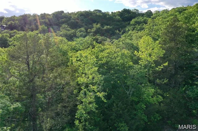 $26,000 | 7664 Vista Drive, Cedar Hill, MO 63016