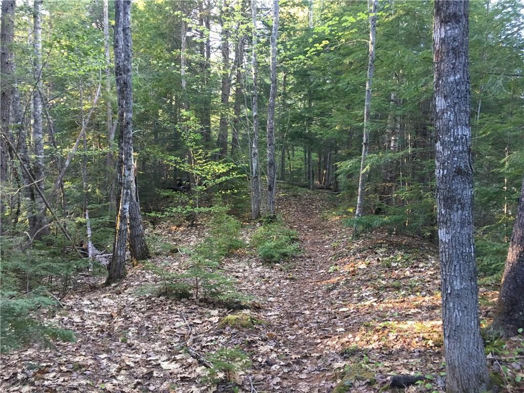 0 Maxfield Road Lagrange, ME 04453 - Photo 14 of 27 Maine Buildable Waterfront Land for...
