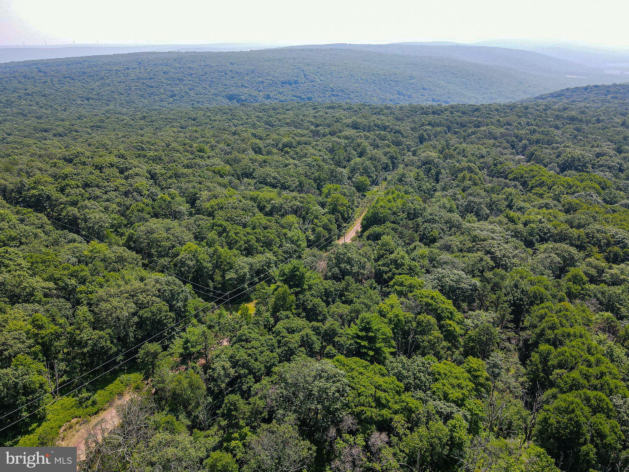 Mountain Road Catawissa, PA 17820 - Photo 22 of 23 Lush green forest stretching endlessly.