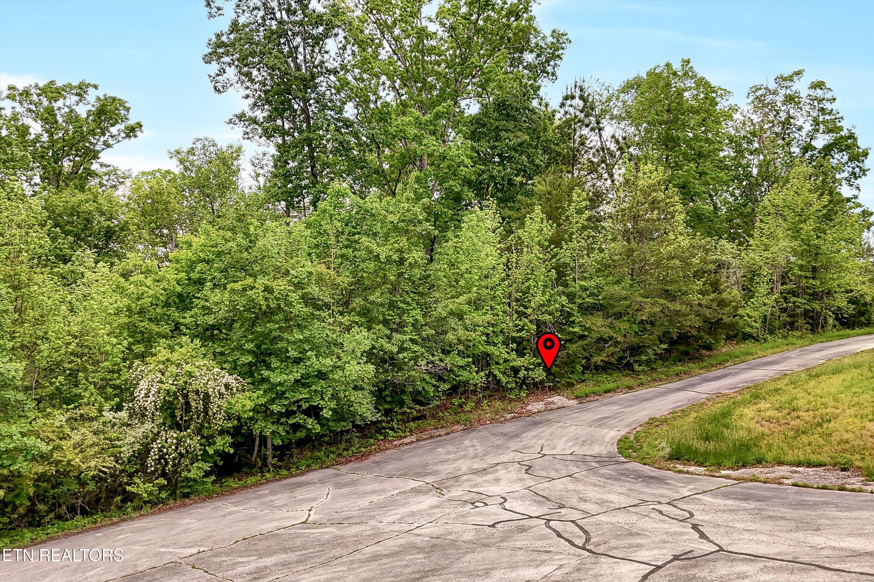 Emory Pointe Lane Harriman, TN 37748 - Photo 2 of 46 Lot 23