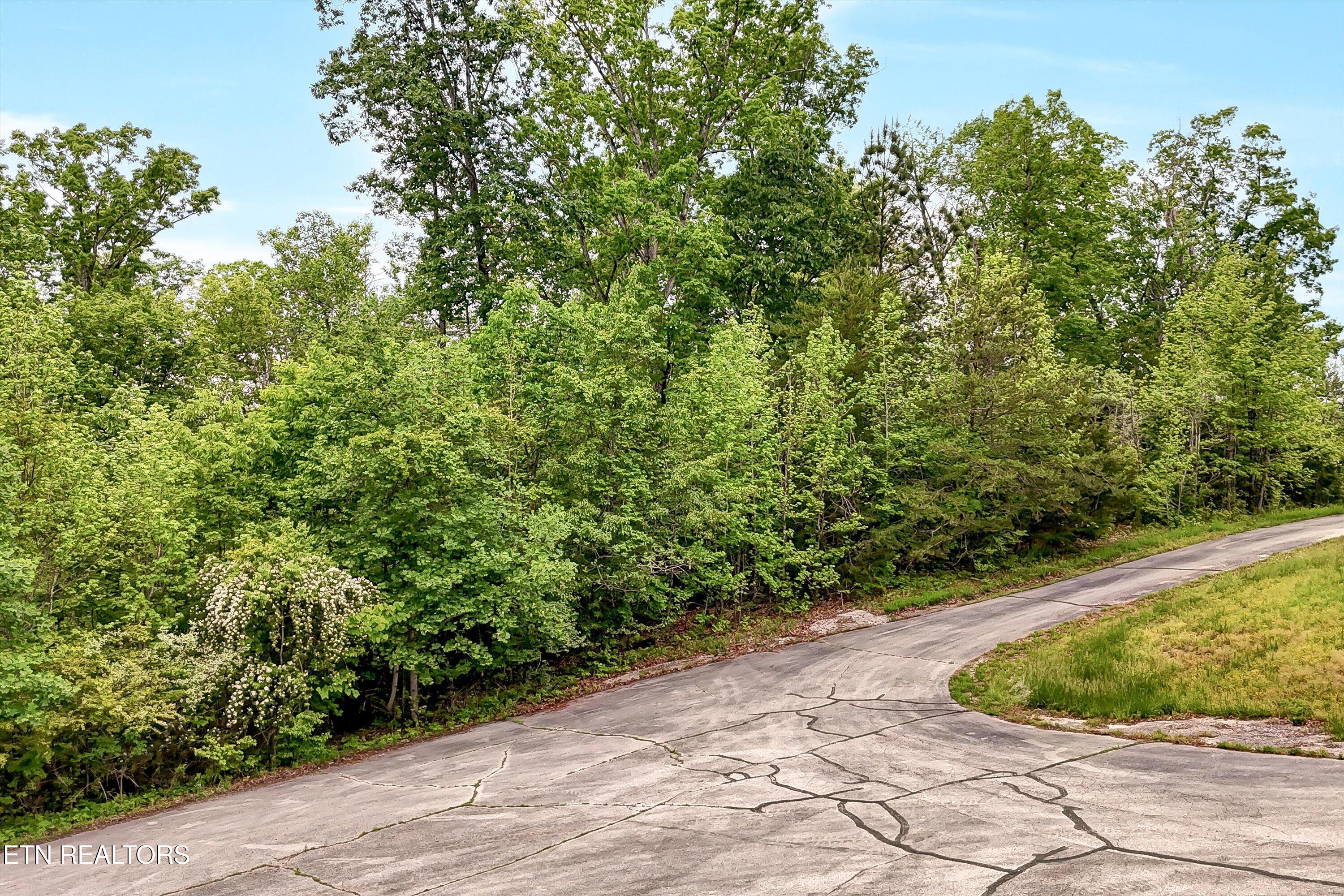 Emory Pointe Lane Harriman, TN 37748 - Photo 3 of 46 Lot 23