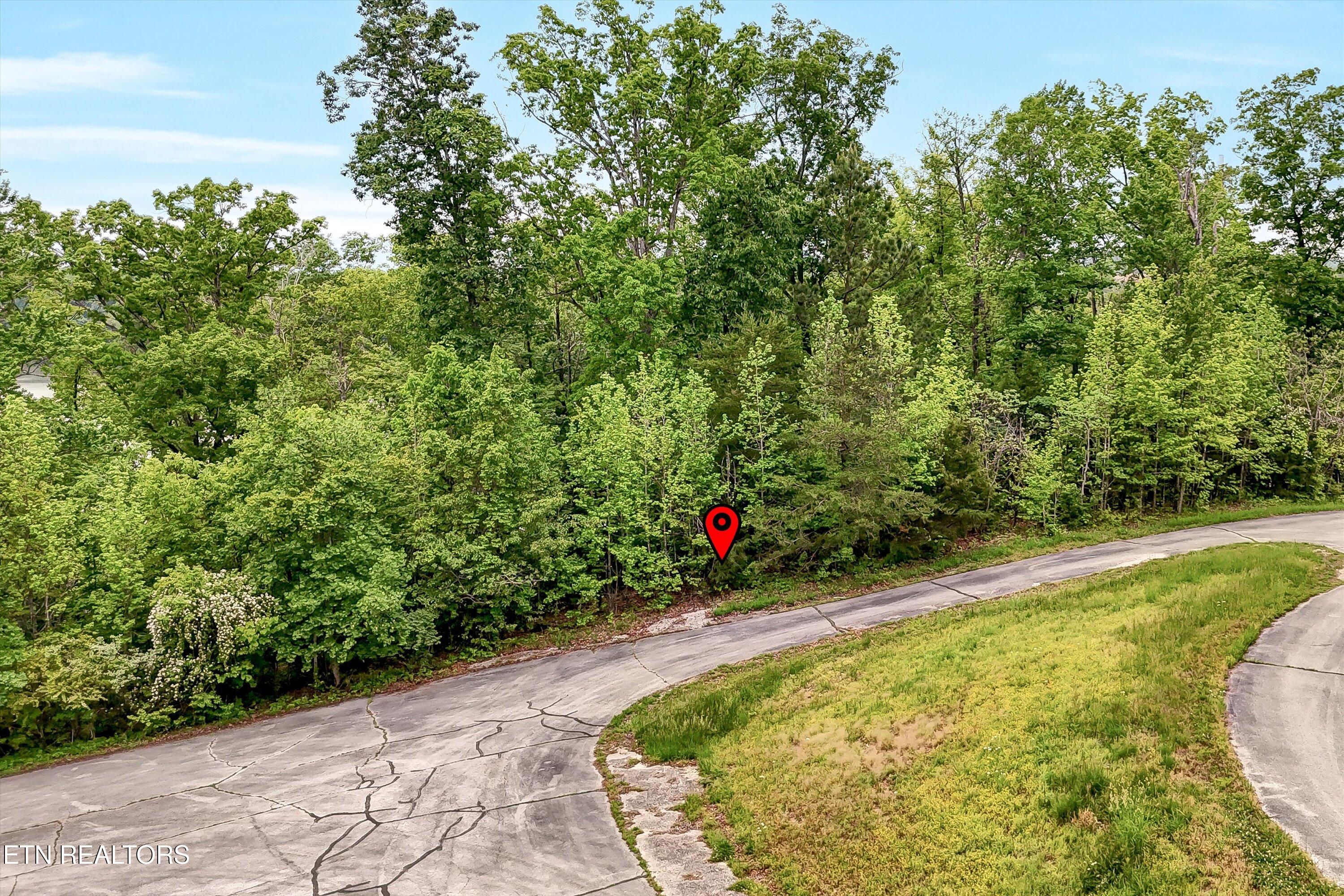 Emory Pointe Lane Harriman, TN 37748 - Photo 4 of 46 Lot 23