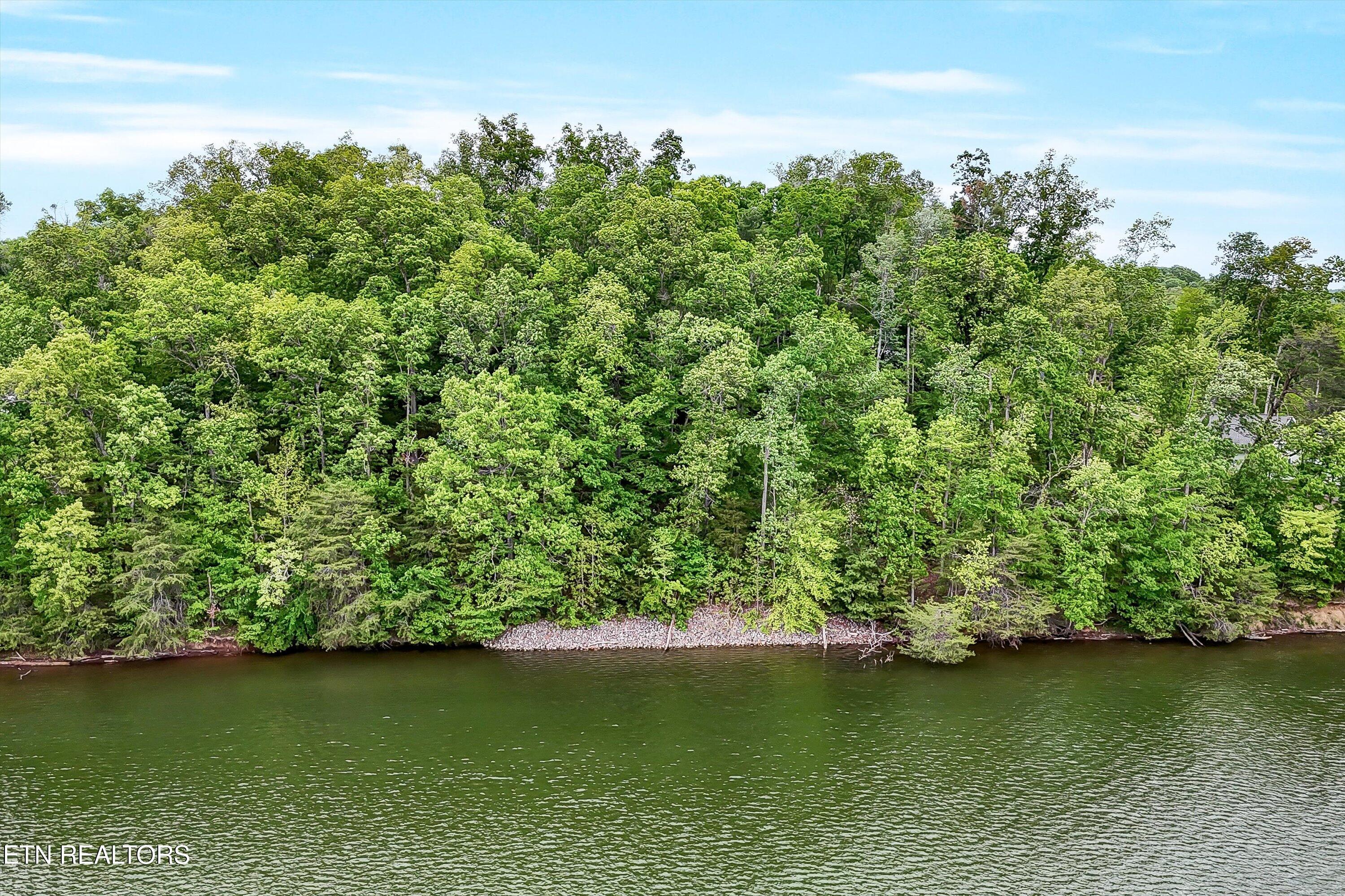 Emory Pointe Lane Harriman, TN 37748 - Photo 41 of 46 Lot 23