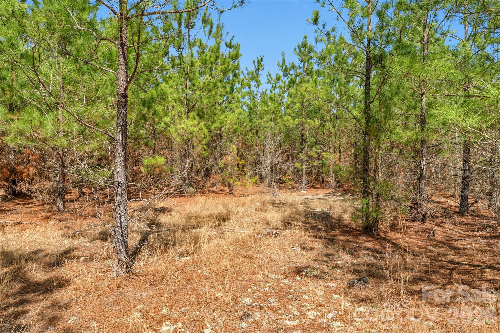 931 Charlie Johnson Road, Unit 7 Kershaw, SC 29067 - Photo 26 of 34