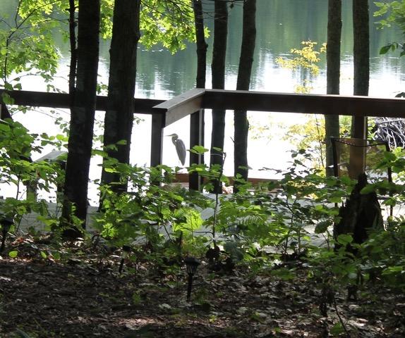 2183 5 Lakes Road Gaylord, MI 49735 - Photo 56 of 64 Gallery Image 56