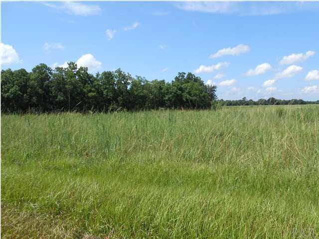 2 Jack Springs Road Atmore, AL 36502 - Photo 13 of 27 a view of a lake from a yard
