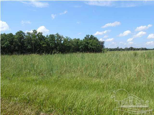2 Jack Springs Road Atmore, AL 36502 - Photo 15 of 29 property photos