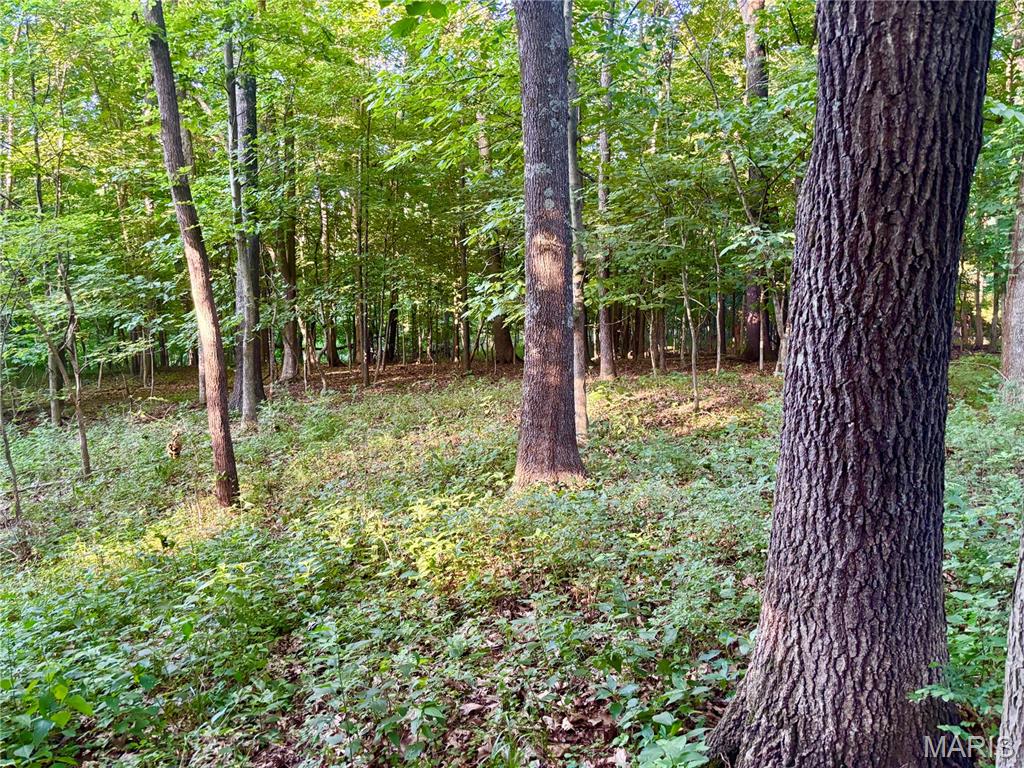 0 County Farm Road Kell, IL 62853 - Photo 11 of 25