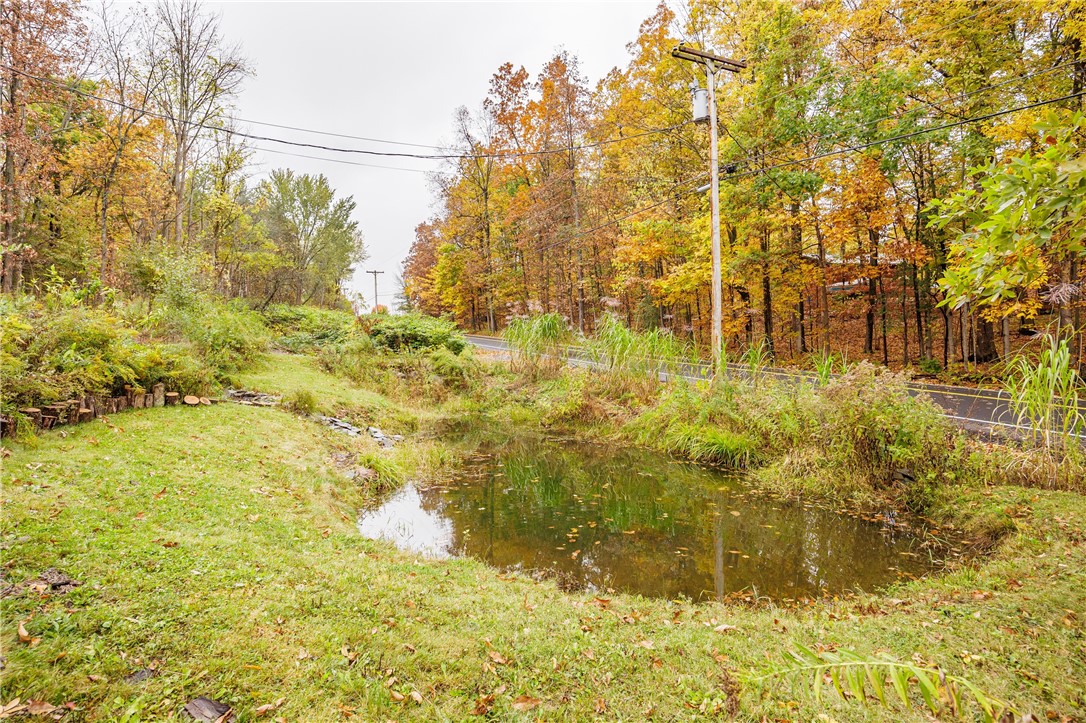 6284 Knapp Road Canandaigua Town, NY 14424 - Photo 39 of 49