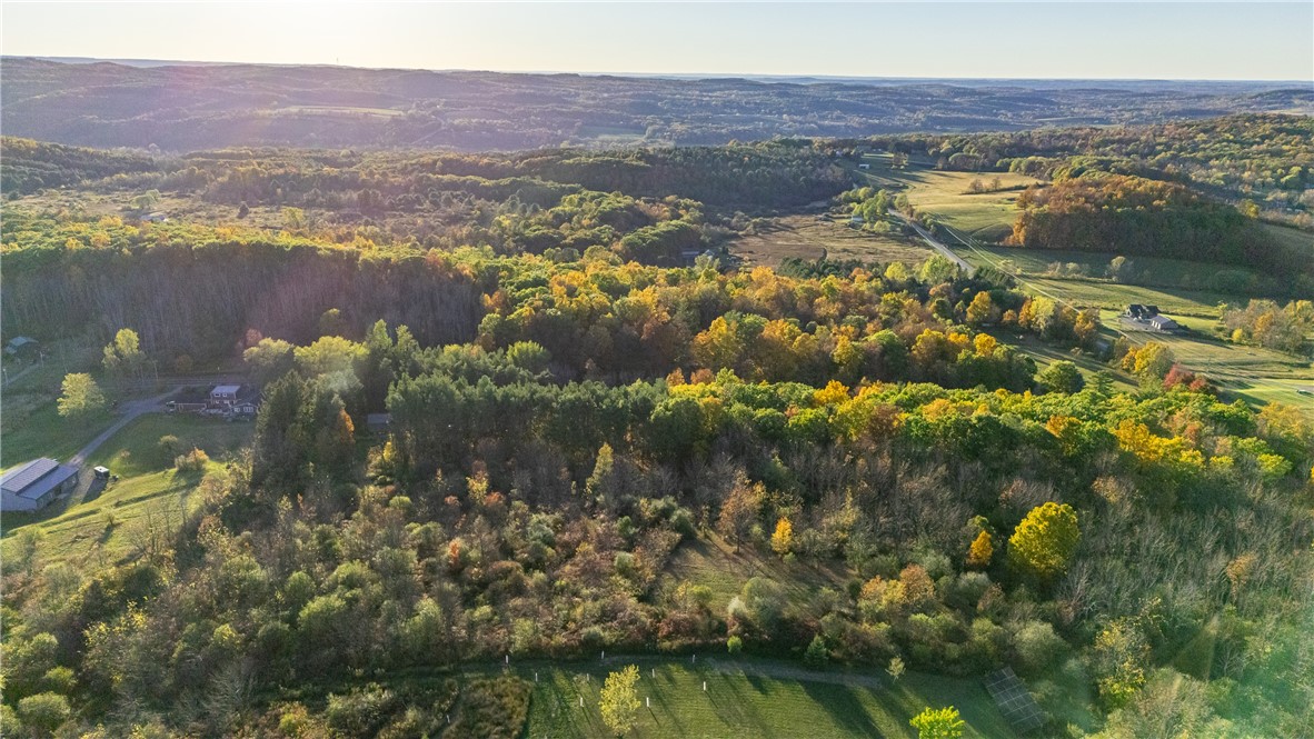 6284 Knapp Road Canandaigua Town, NY 14424 - Photo 42 of 49