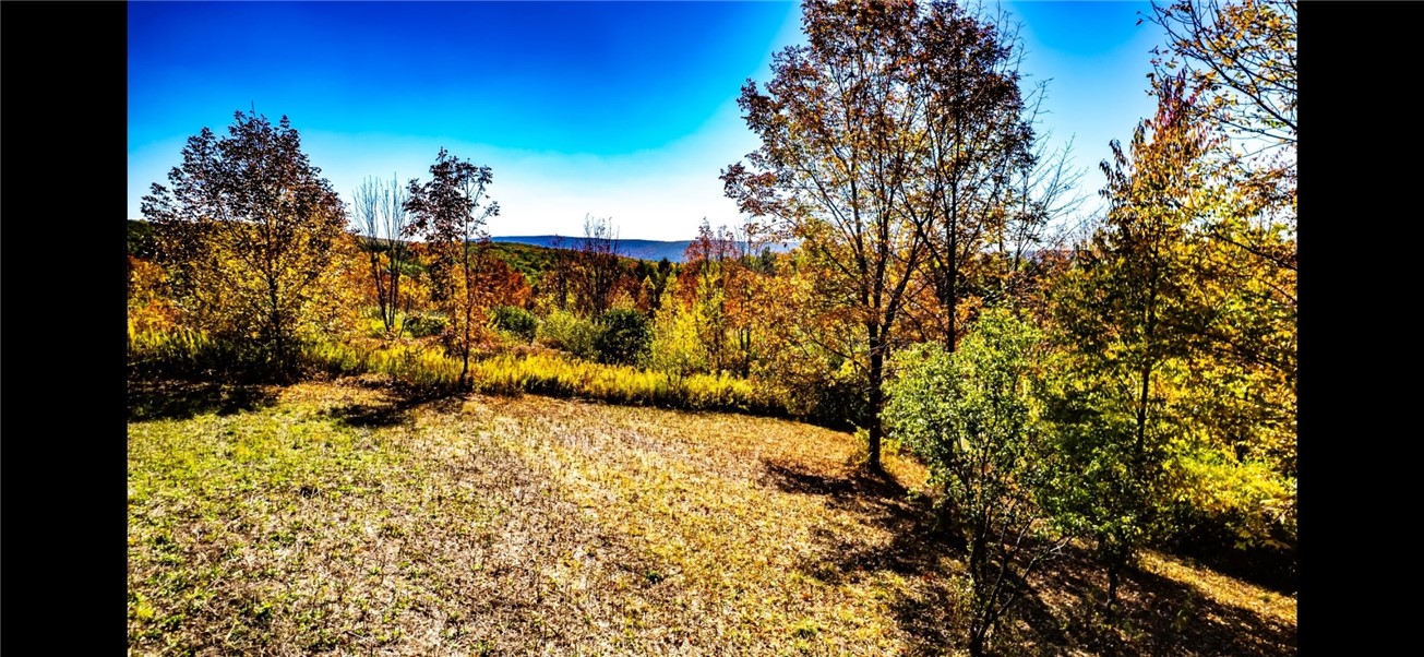 6284 Knapp Road Canandaigua Town, NY 14424 - Photo 44 of 49