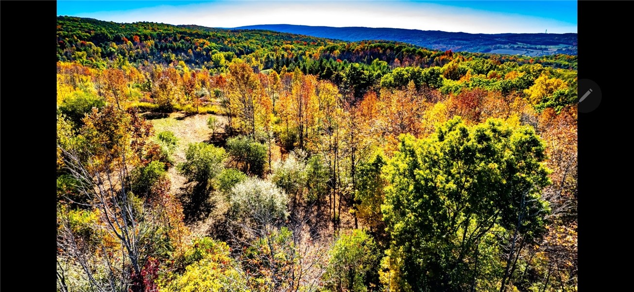 6284 Knapp Road Canandaigua Town, NY 14424 - Photo 45 of 49