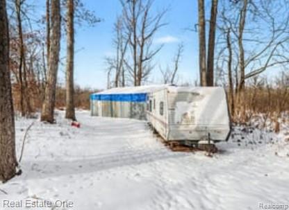 0 Burrows T Drive N Bellevue, MI 49021 - Photo 4 of 10