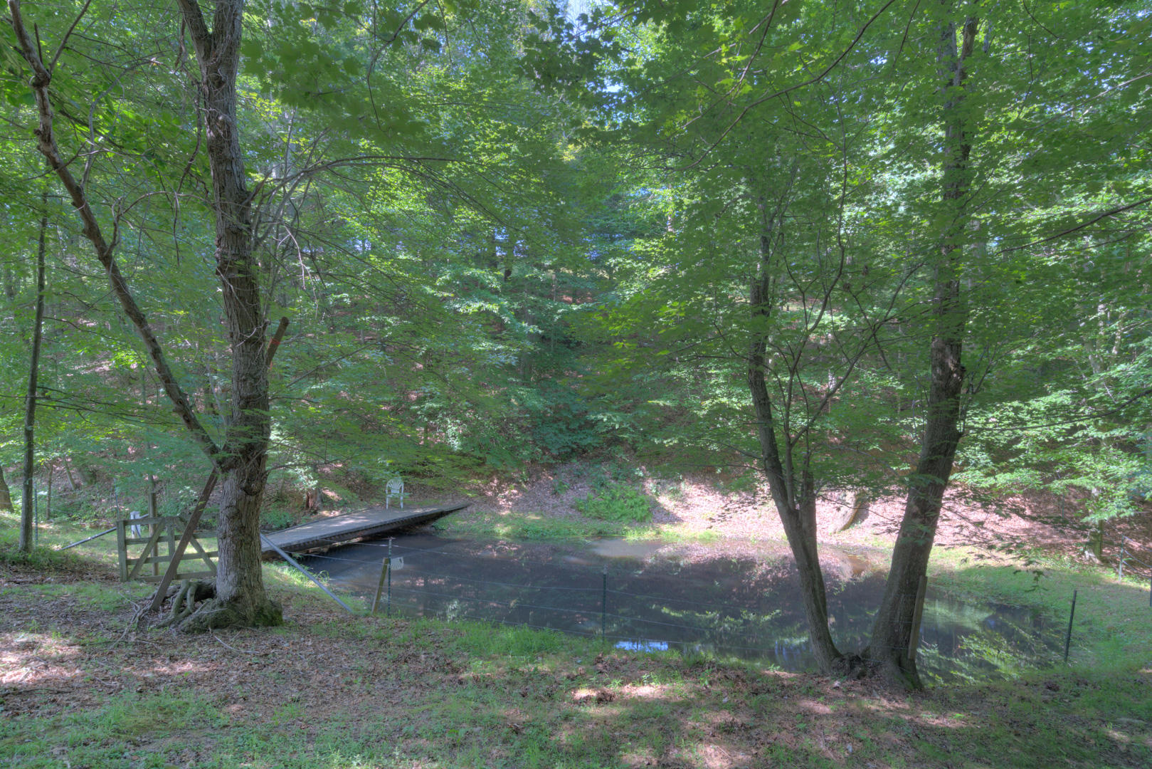 272 Bluebird Road Northeast Floyd, VA 24091 - Photo 42 of 62 Pond