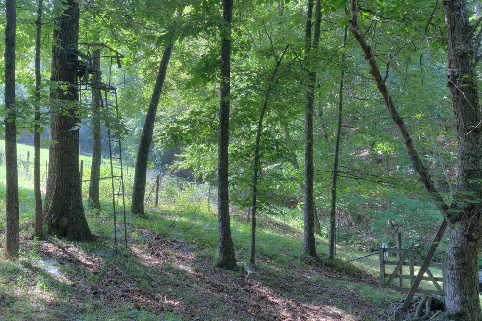272 Bluebird Road Northeast Floyd, VA 24091 - Photo 43 of 62 Beautiful Setting