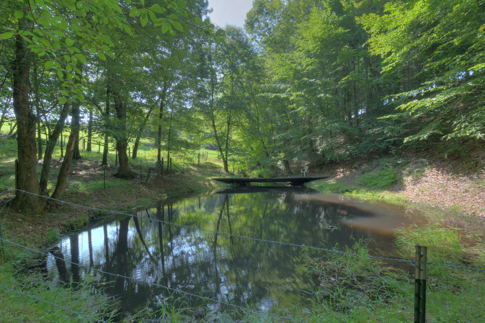 272 Bluebird Road Northeast Floyd, VA 24091 - Photo 44 of 62 Pond
