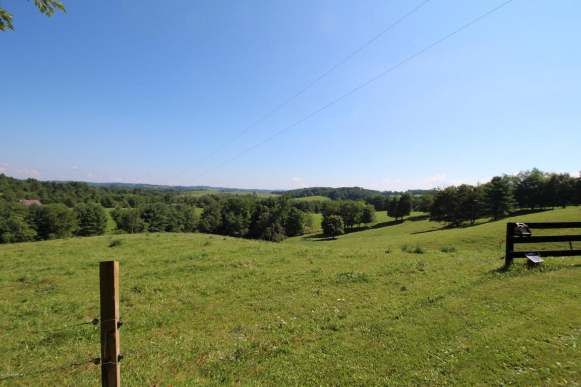 272 Bluebird Road Northeast Floyd, VA 24091 - Photo 56 of 62 Pasture Land