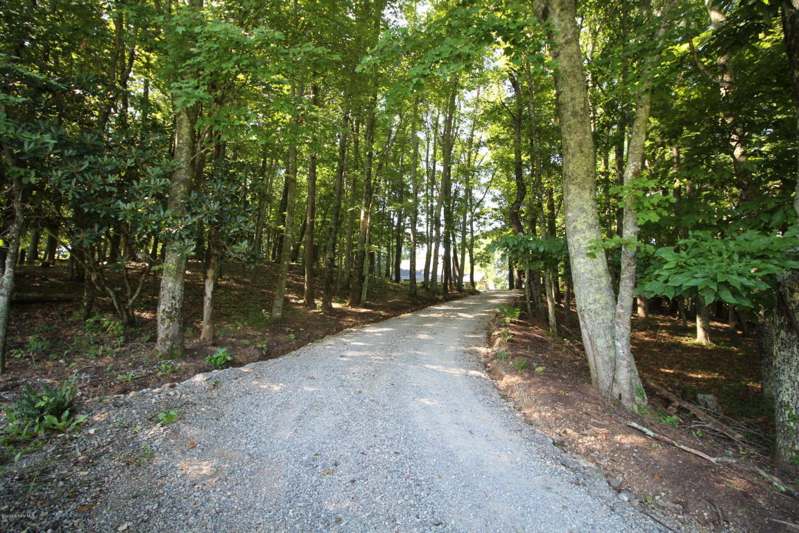 272 Bluebird Road Northeast Floyd, VA 24091 - Photo 59 of 62 Drive Way