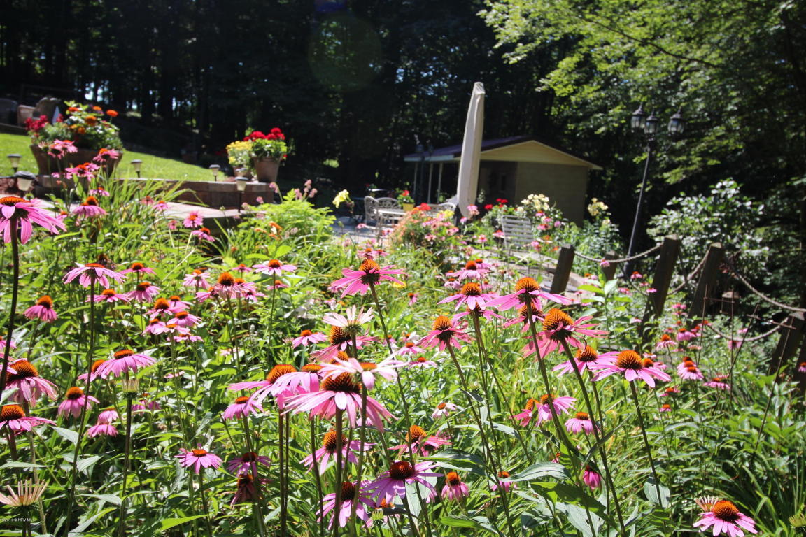 272 Bluebird Road Northeast Floyd, VA 24091 - Photo 61 of 62 Perennial Garden