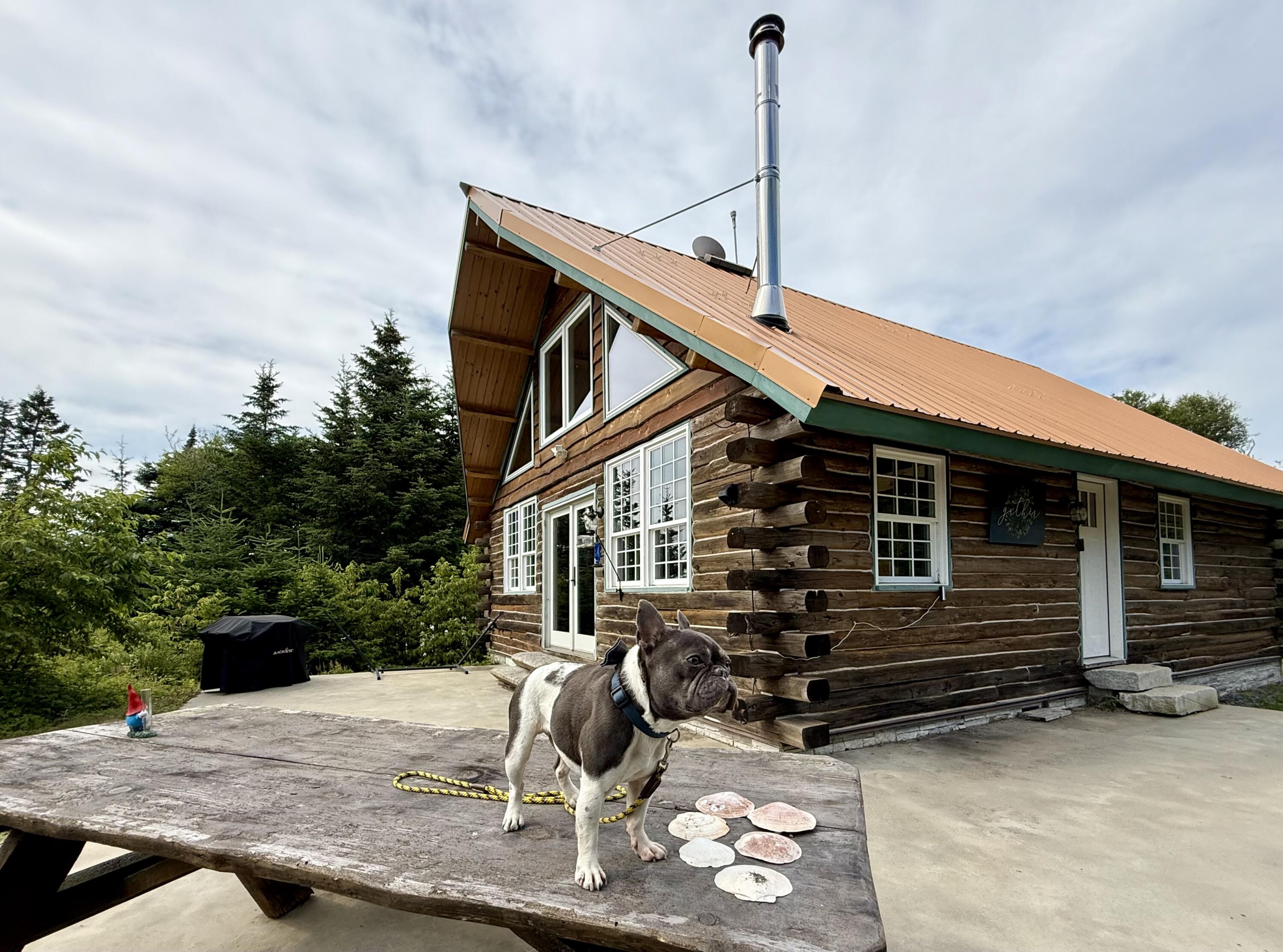 69 Jim's Head Road Lubec, ME 04652 - Photo 4 of 57 IMG_7167
