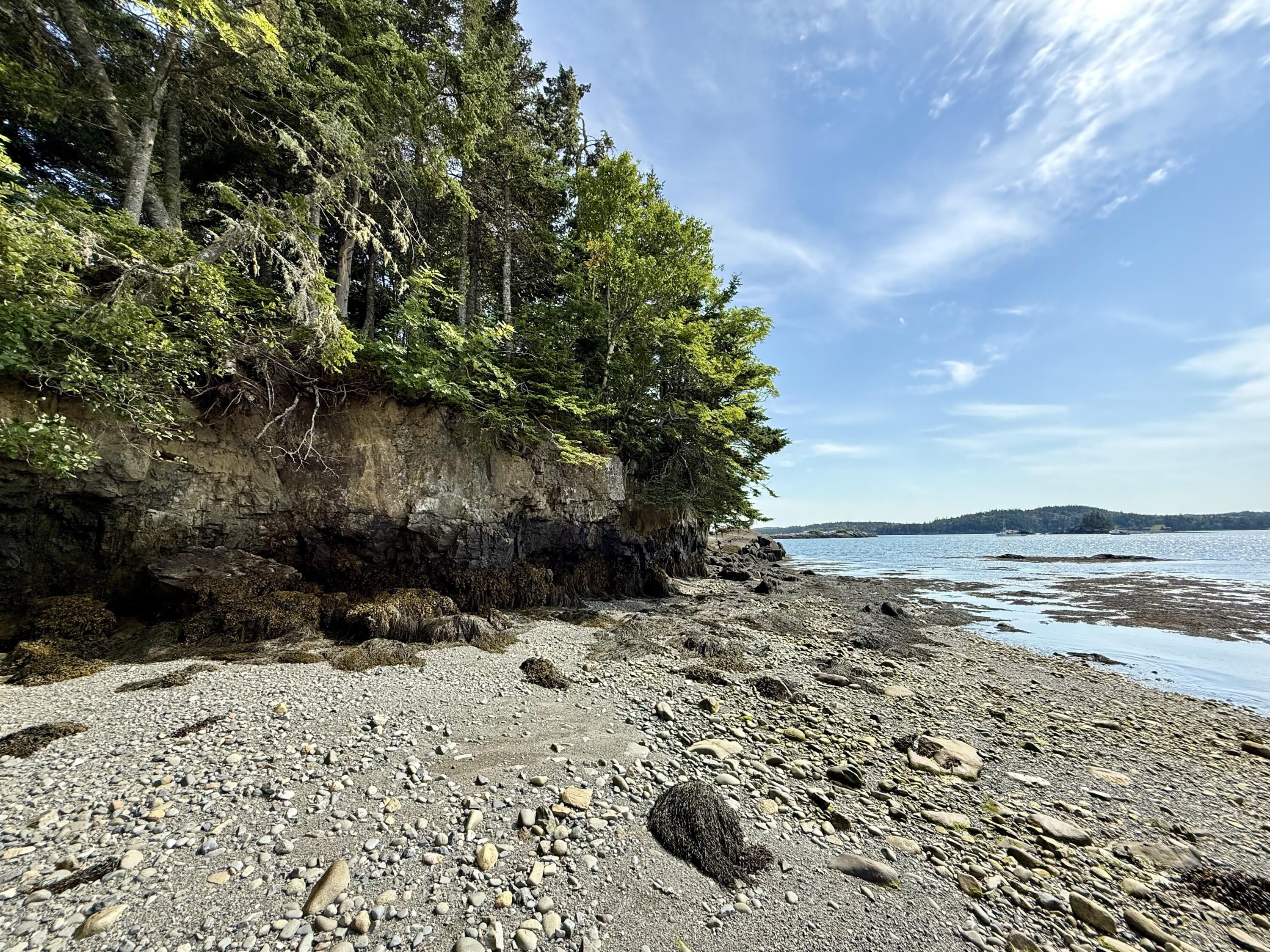 69 Jim's Head Road Lubec, ME 04652 - Photo 44 of 57 IMG_7018