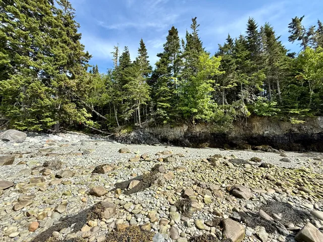 $599,990 | 69 Jim's Head Road, Lubec, ME 04652