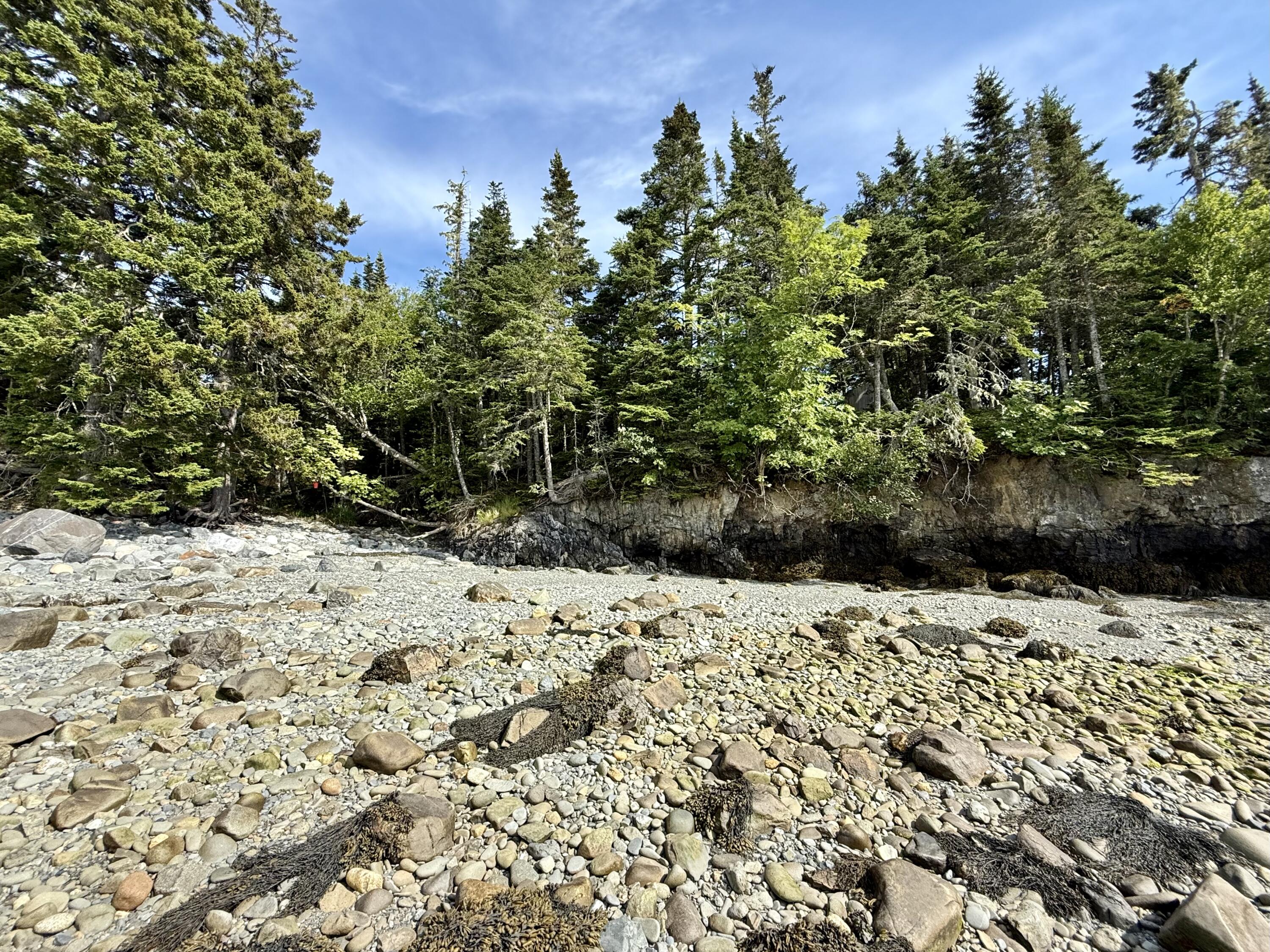 69 Jim's Head Road Lubec, ME 04652 - Photo 45 of 57 IMG_7059