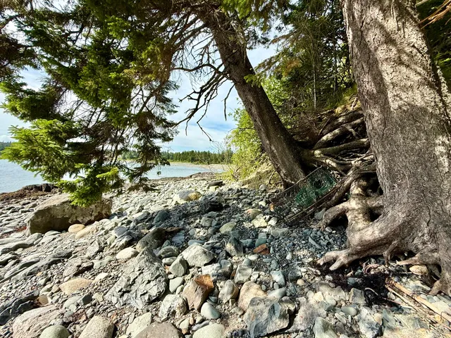 $599,990 | 69 Jim's Head Road, Lubec, ME 04652