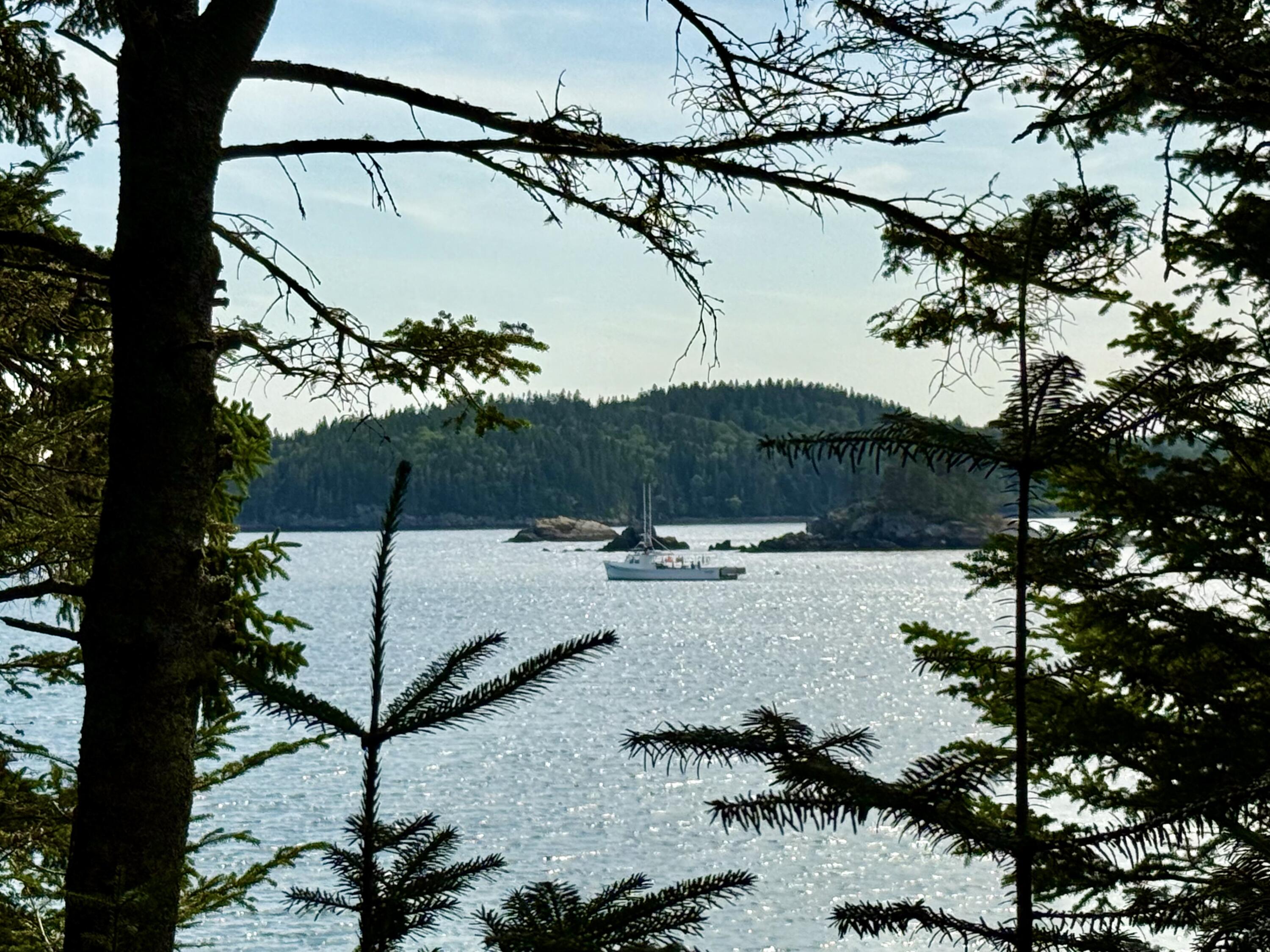 69 Jim's Head Road Lubec, ME 04652 - Photo 47 of 57 IMG_7090