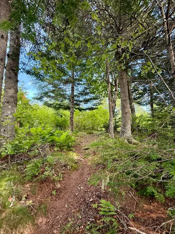 $599,990 | 69 Jim's Head Road, Lubec, ME 04652