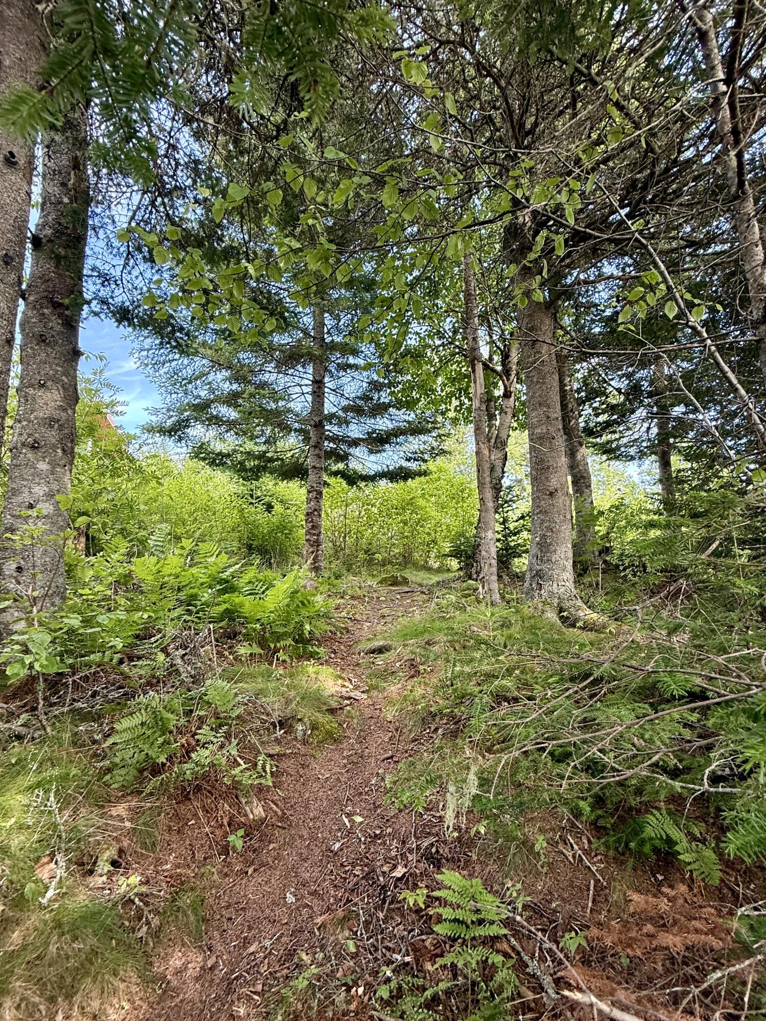 69 Jim's Head Road Lubec, ME 04652 - Photo 48 of 57 IMG_7124