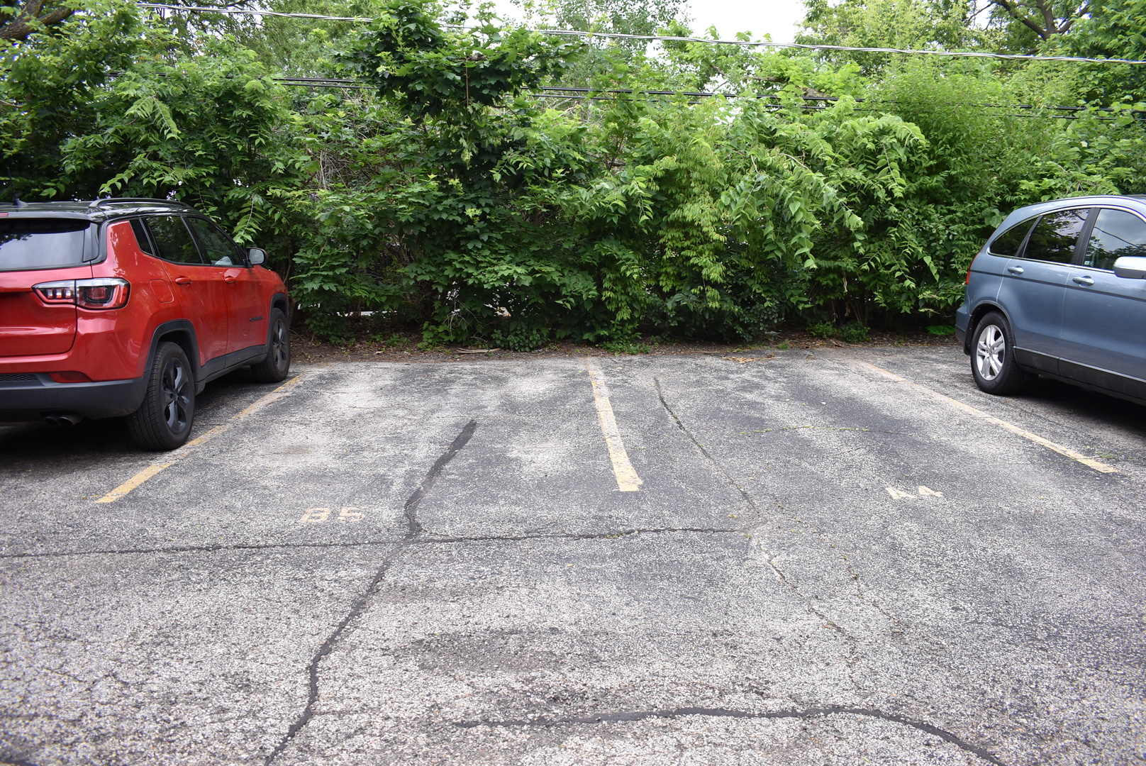 844 Village Quarter Road, Unit B5 West Dundee, IL 60118 - Photo 15 of 19