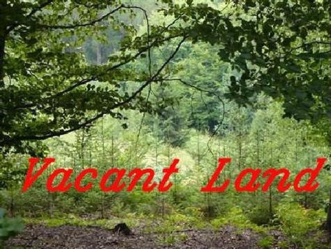 a view of a yard and front front of palm trees