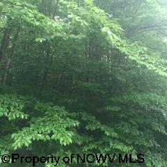 1308 Sand Run Road Davis, WV 26260 - Photo 17 of 30 Gallery Image 17