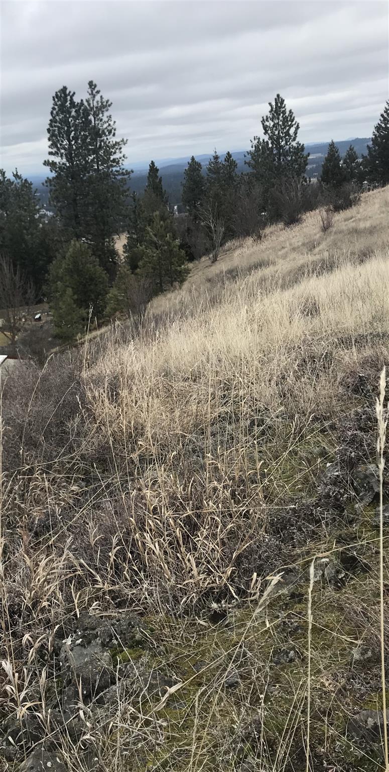 2 North Gerlach Road Spokane, WA 99217 - Photo 1 of 5