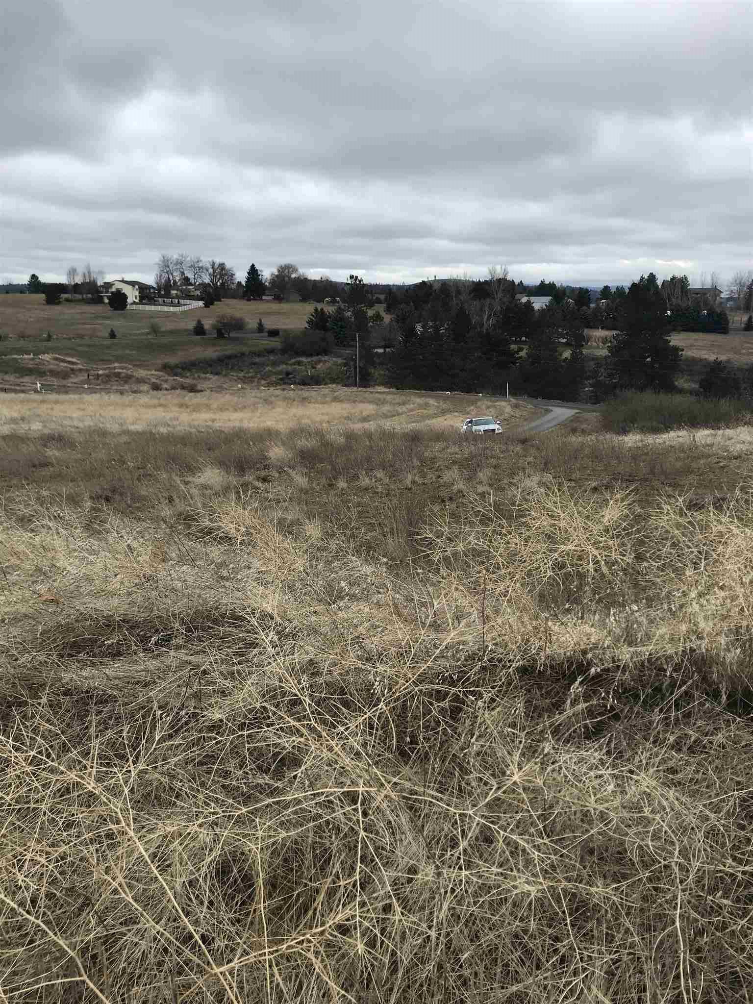 2 North Gerlach Road Spokane, WA 99217 - Photo 4 of 5
