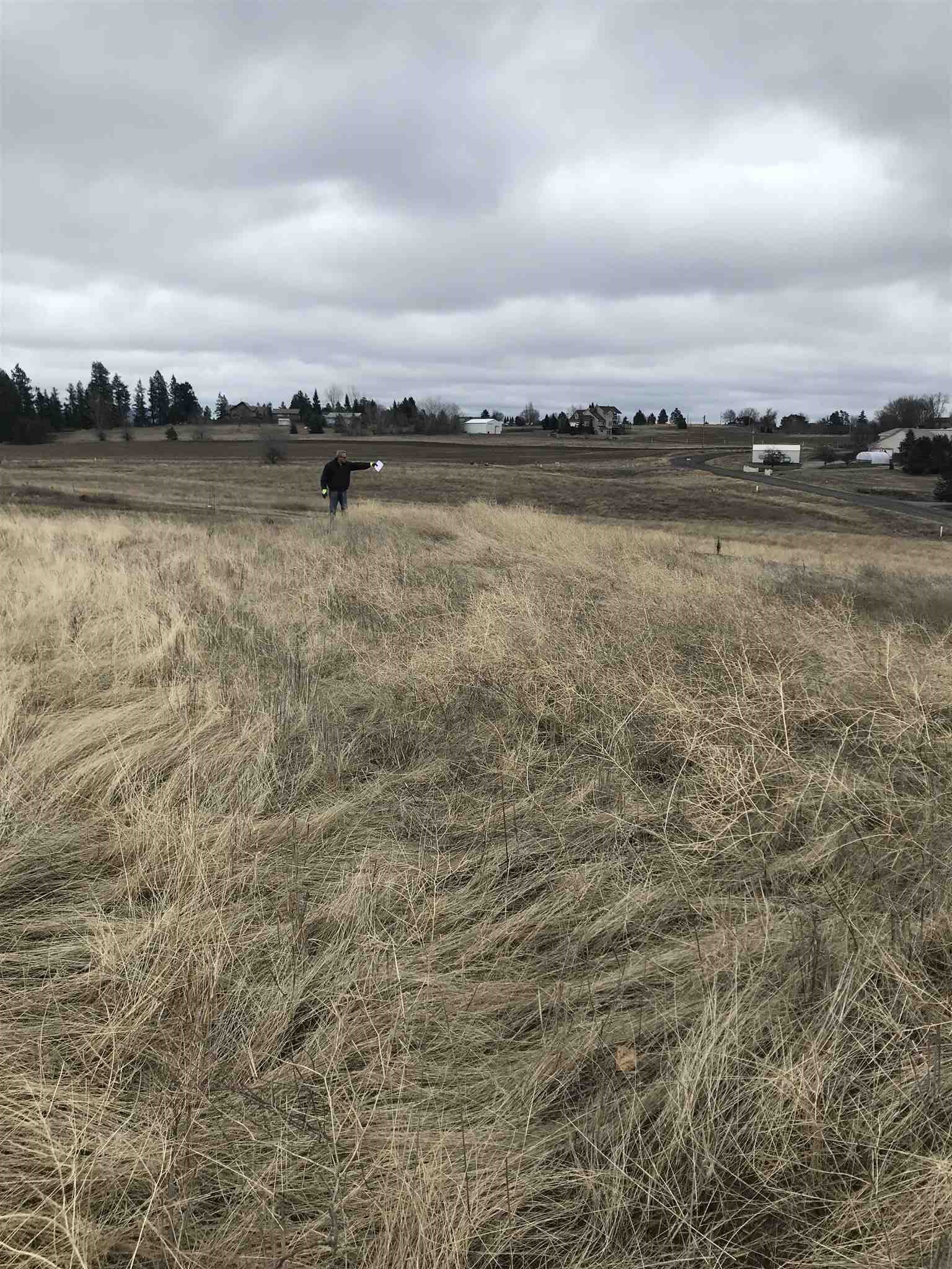 2 North Gerlach Road Spokane, WA 99217 - Photo 5 of 5