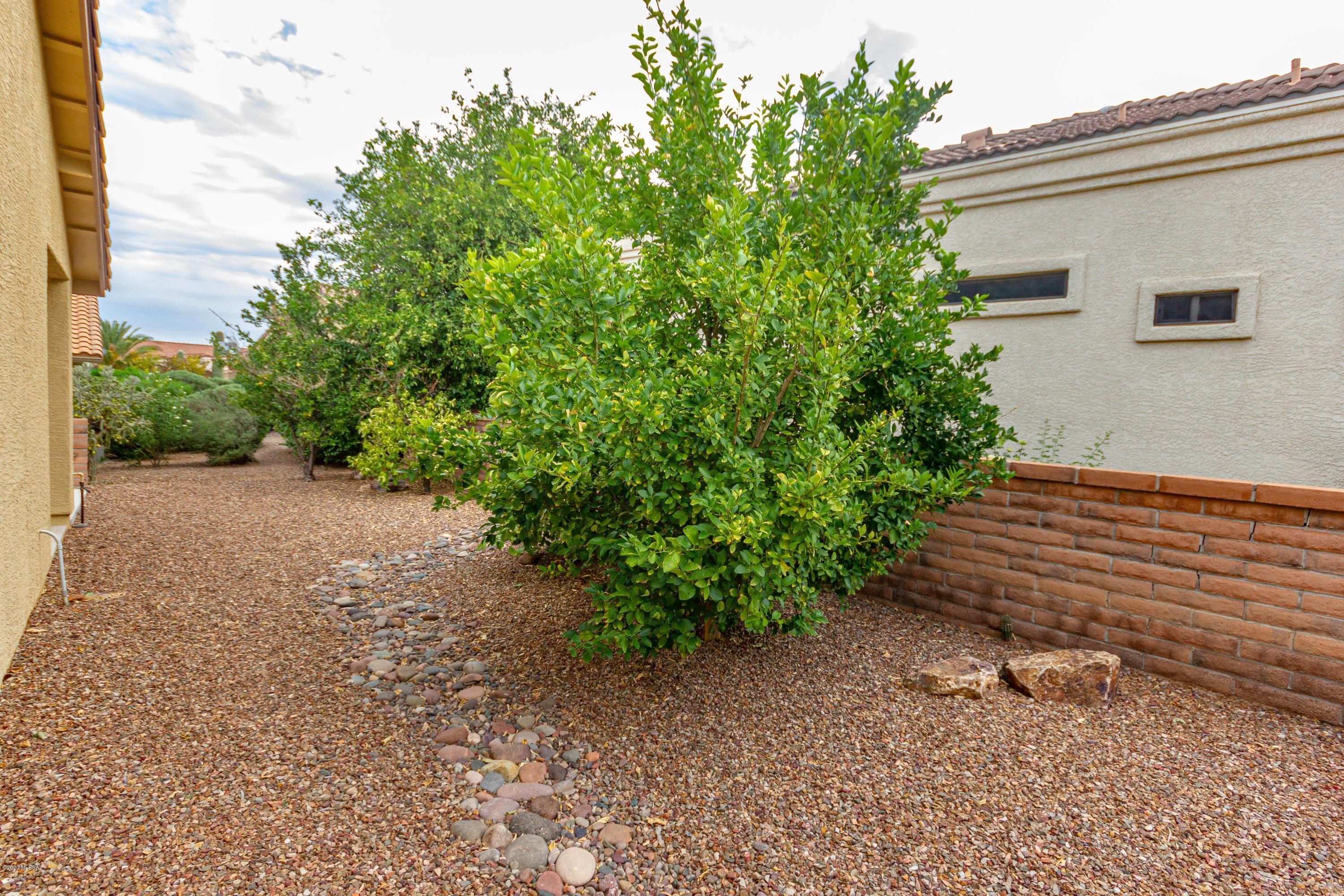 1436 North Bank Swallow Road Green Valley, AZ 85614 - Photo 43 of 44
