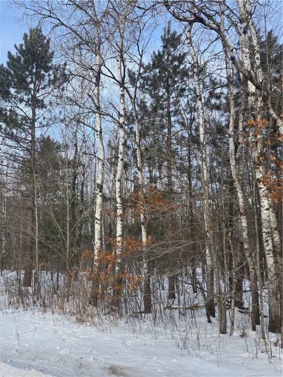 0 County Highway Sheldon, WI 54766 - Photo 2 of 18