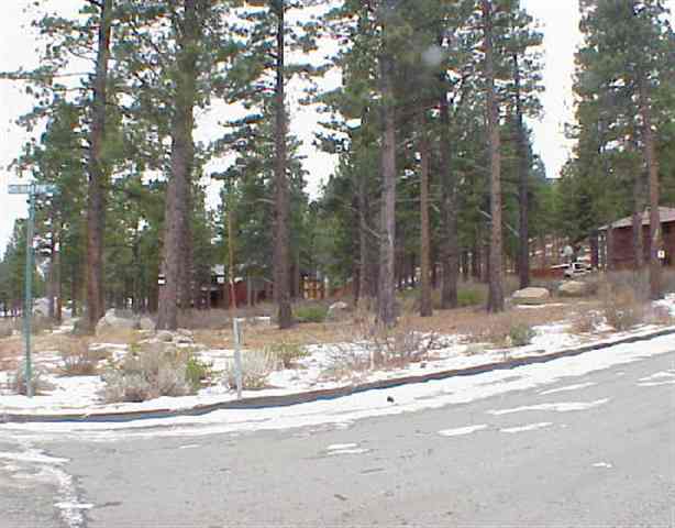 Lot 8 Austrian Pine Reno, NV 89511 - Photo 1 of 1 Gallery Image 1