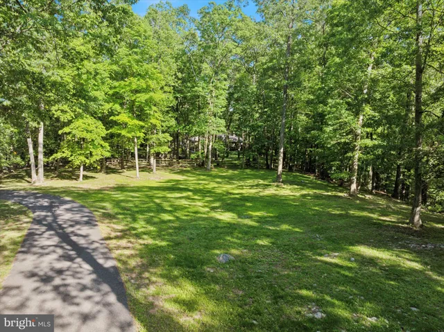 a grassy field with trees in the background