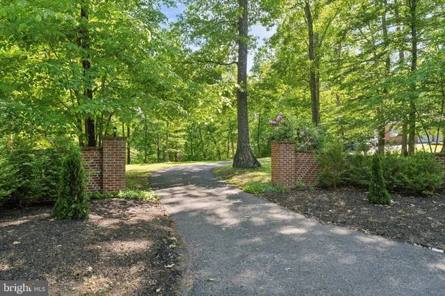a view of a yard with plants and trees